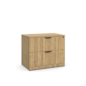 2 Drawer Lateral File Cabinet