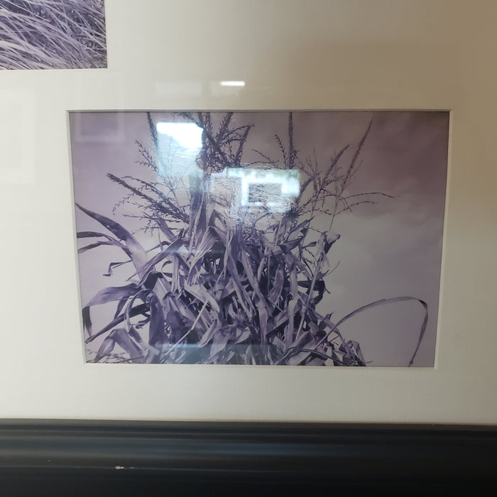 Frame for 5"x7" Photos