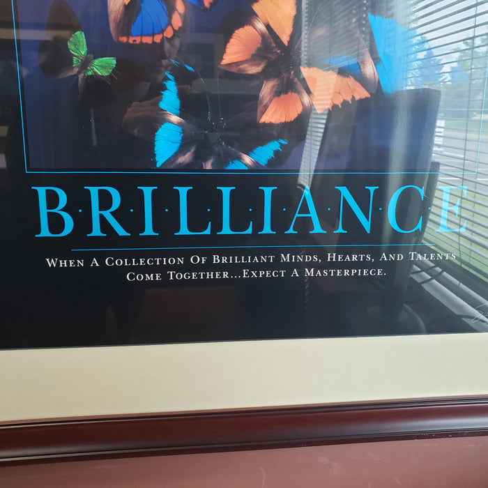 Framed "Brilliance" Poster