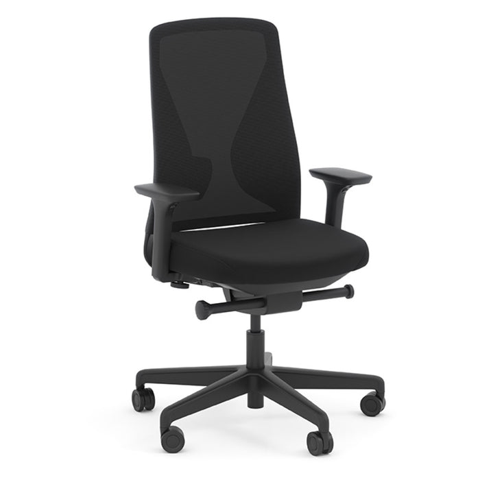 SENSE ERGO MB CHAIR W/ARMS & SS-BLK FRM/0101/M1001