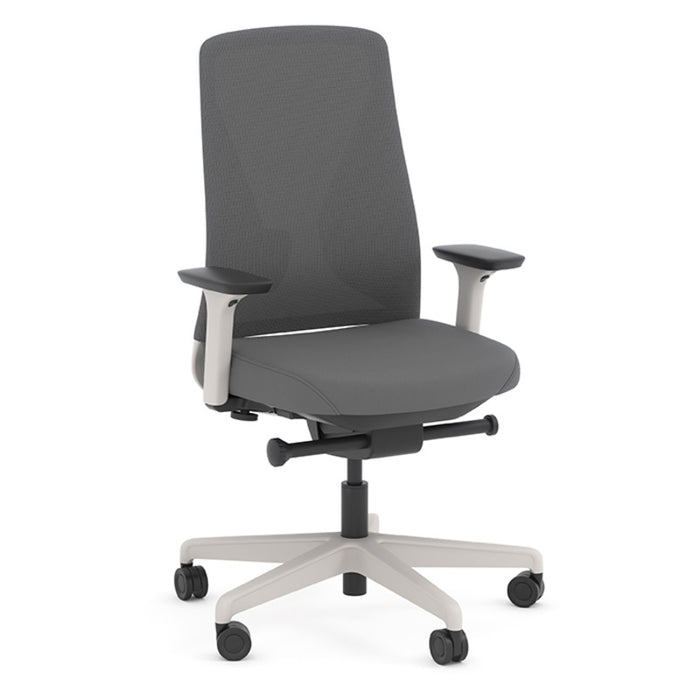 SENSE ERGO MB CHAIR W/ARMS & SS-GRY FRM/0106/M1007