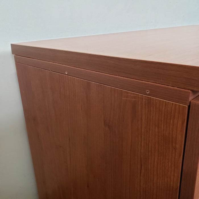 File Cabinet/ Printer Stand