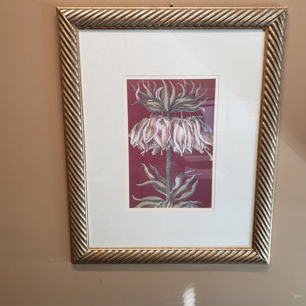 Framed Artwork