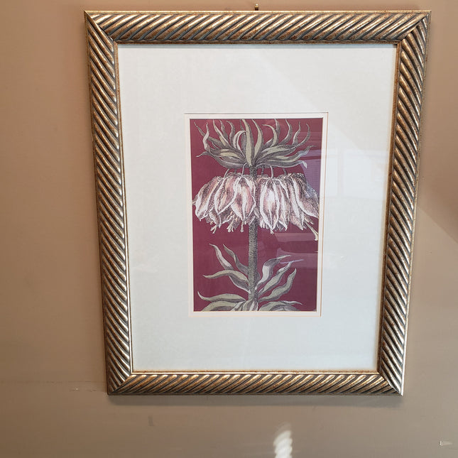 Framed Artwork