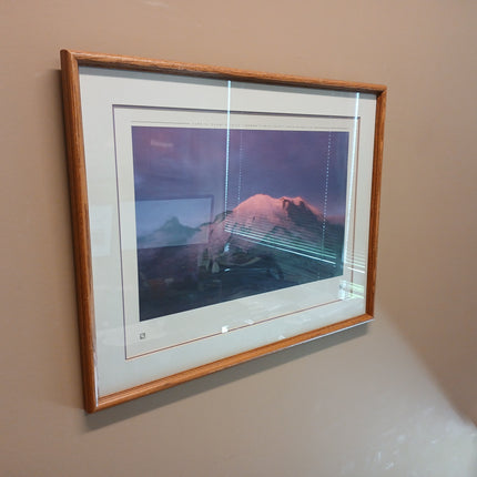 Framed Artwork