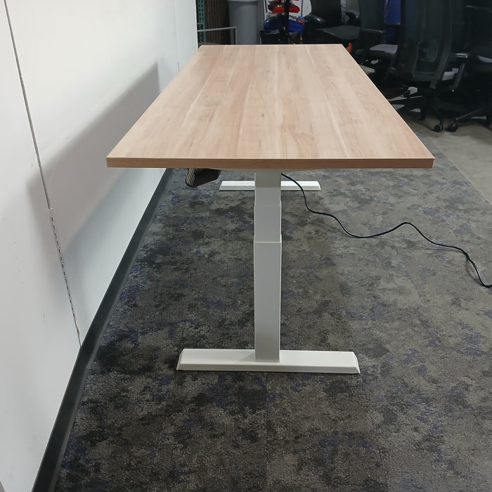 71" Standing Desk