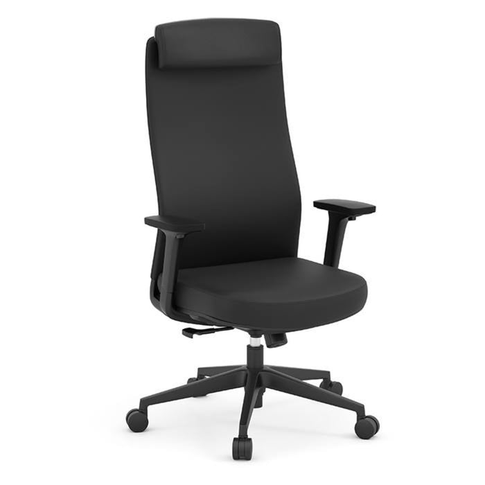 APEX HB EXE CHAIR W/HR-BLK FRM/BLK ST&BK U164