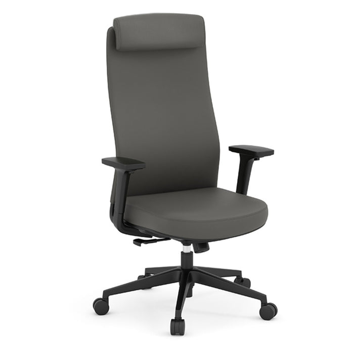 APEX HB EXE CHAIR W/HR-BLK FRM/GRY ST&BK UU012