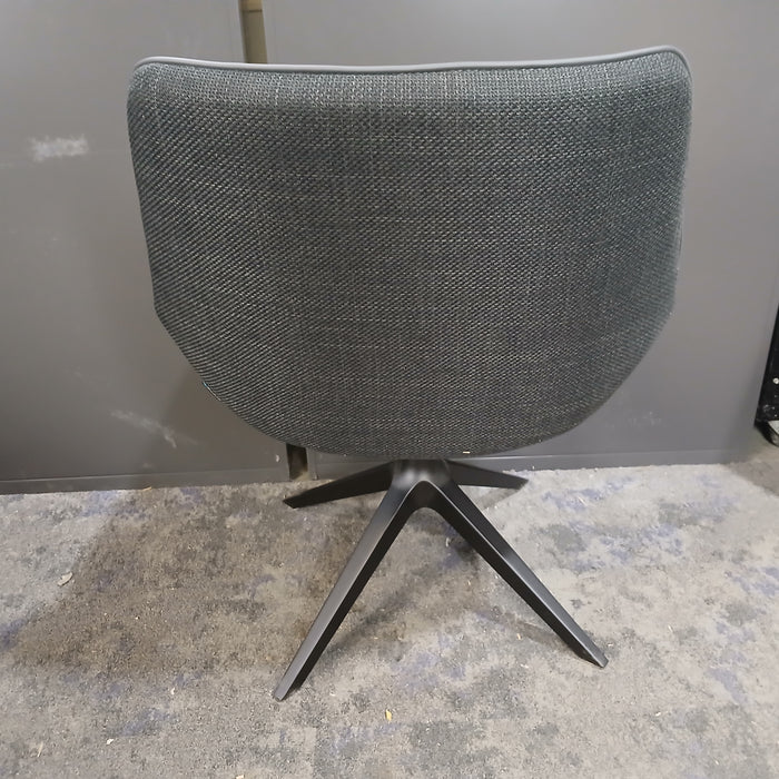 Neo Lounge Chair