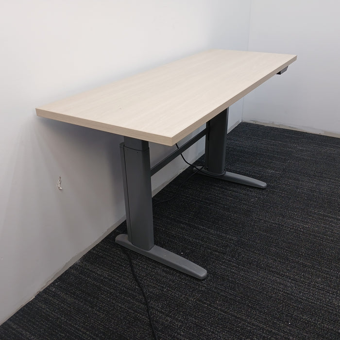 54" Standing Desk