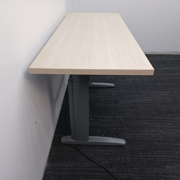 54" Standing Desk
