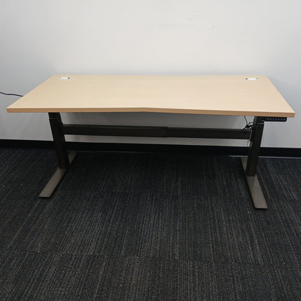 66" Standing Desk