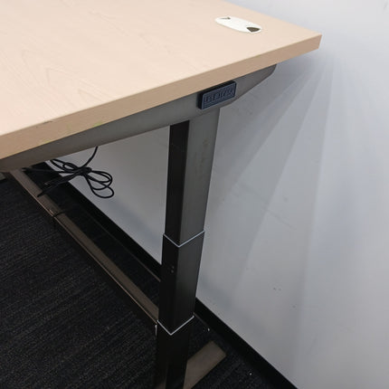 66" Standing Desk