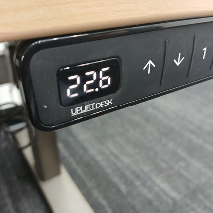 66" Standing Desk