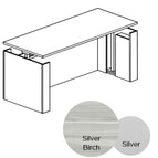 Silver Birch/Silver