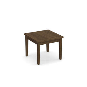 24X24 END TABLE-MWN