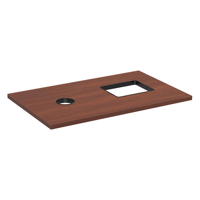 CABINET TOP ONLY W/2 GARBAGE HOLES-CH