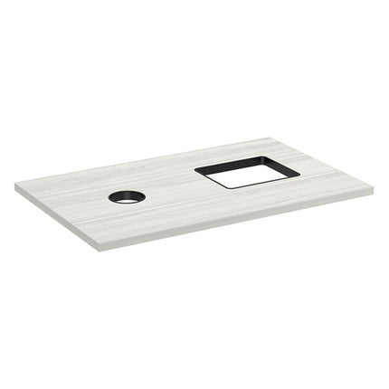CABINET TOP ONLY W/2 GARBAGE HOLES-SLB