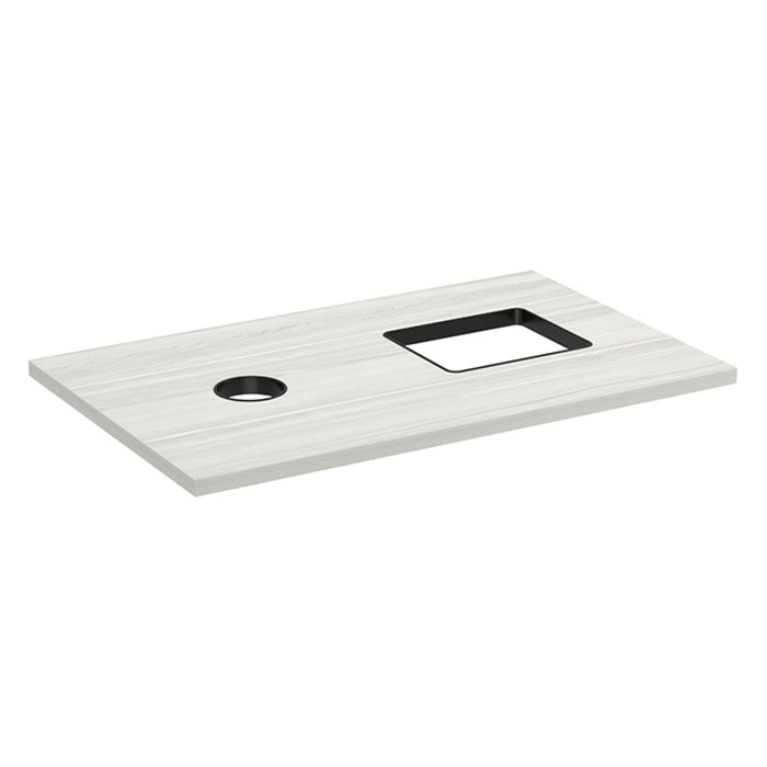 CABINET TOP ONLY W/2 GARBAGE HOLES-SLB