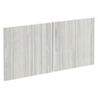 Silver Birch