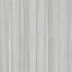Silver Birch