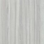 Silver Birch