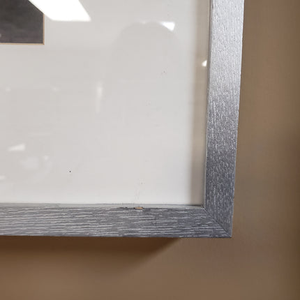 30 x 24 Photo in Silver Frame
