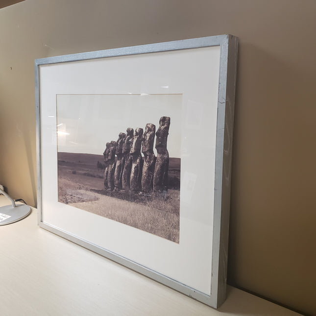 Framed Print